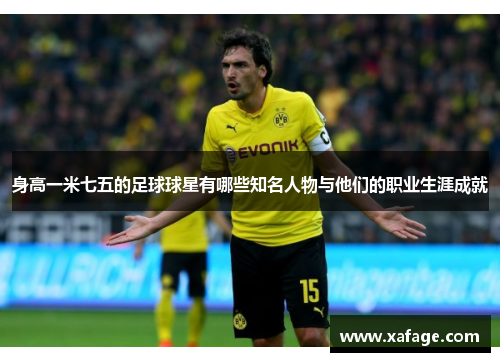 身高一米七五的足球球星有哪些知名人物与他们的职业生涯成就
